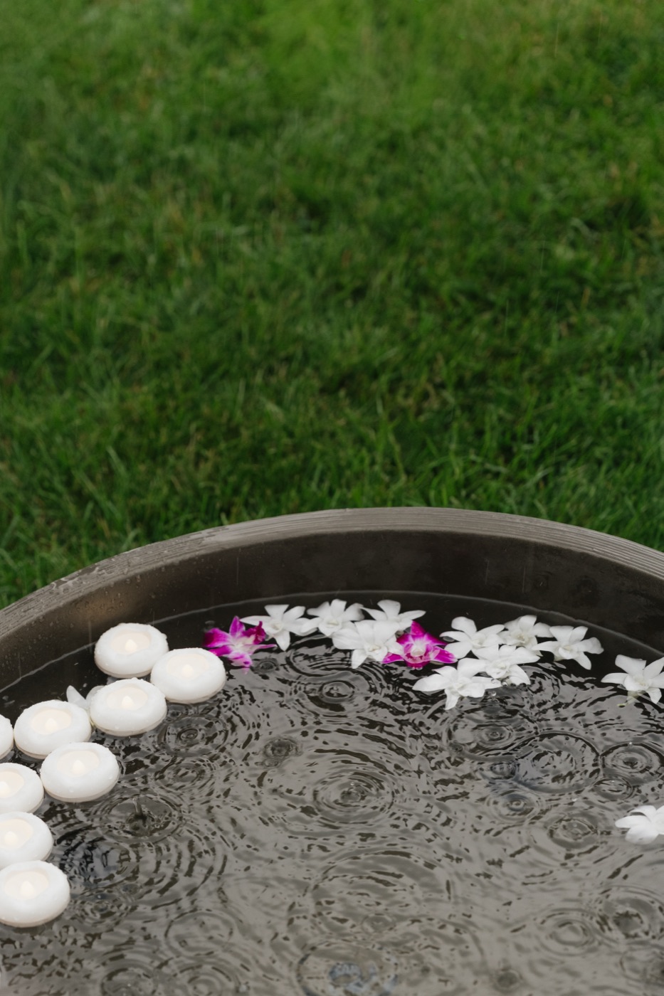 Summer, Gently — gathering photo 3