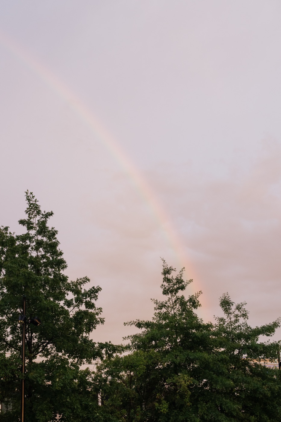 Summer, Gently — gathering photo 38